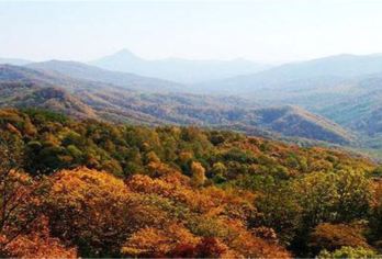 Songfeng Mountain Nature Reserve 명소 인기 사진