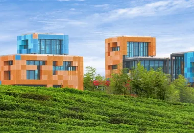 Miles Tea Garden · Tetris Town Popular Attractions Photos