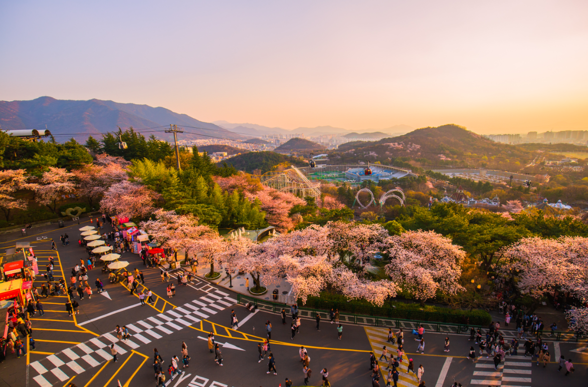 10 Best Things to do in Daegu, South Korea - Daegu travel guides 2021– Trip.com