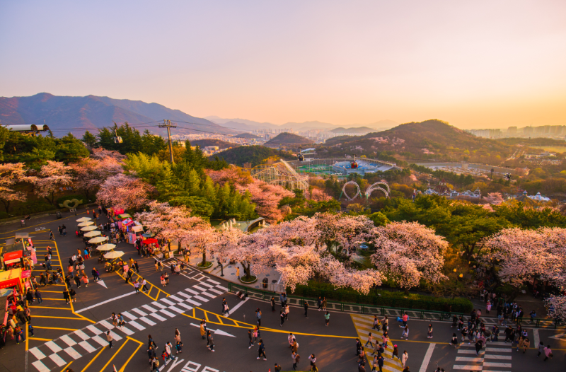 대구 - 서울