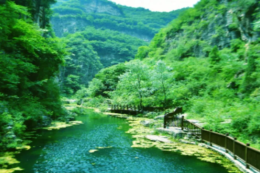 Tongtianxia Scenic Area3