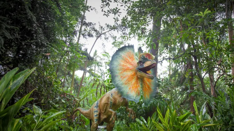 長隆旅遊度仮区 Jurassic Forest 評判 案内 トリップドットコム 長隆旅遊度仮区 Jurassic Forest 評判 案内 トリップドットコム