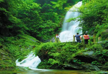 Daxiong Mountain National Forest Park รูปภาพAttractionsยอดนิยม