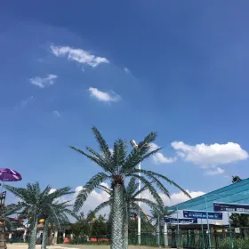 Sunshine Coast Water World