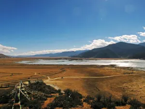 Napa Sea