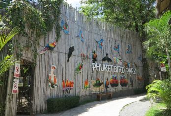 Phuket Bird Park Popular Attractions Photos