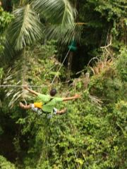 Tree Top Adventure Park Jungle leap