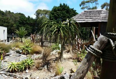 Wellington Zoo Popular Attractions Photos