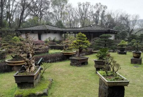 Wanchun Garden