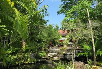 Phuket Botanic Garden Popular Attractions Photos
