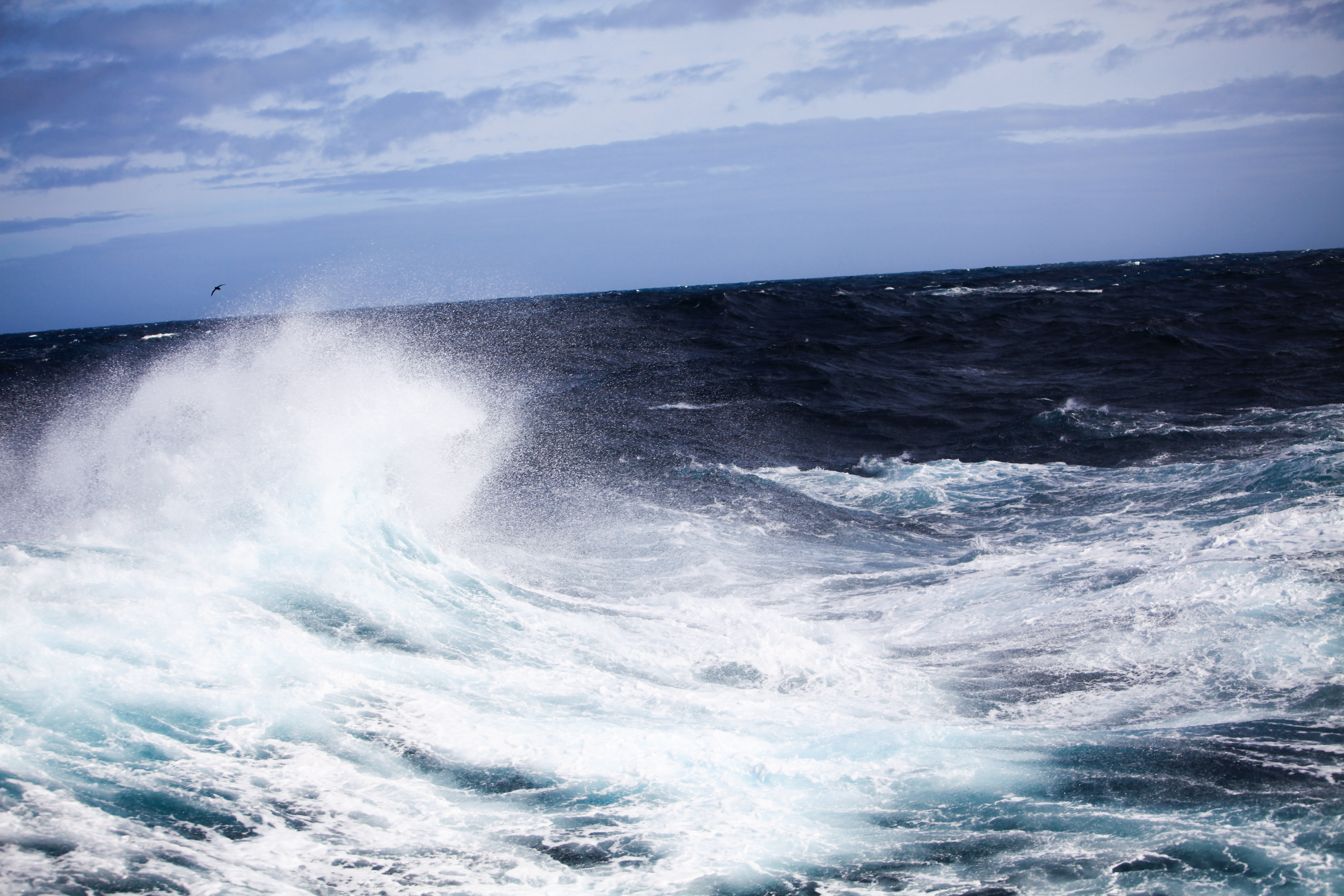 南極大陸 Drake Passage 評判 案内 トリップドットコム 南極大陸 Drake Passage 評判 案内 トリップドットコム