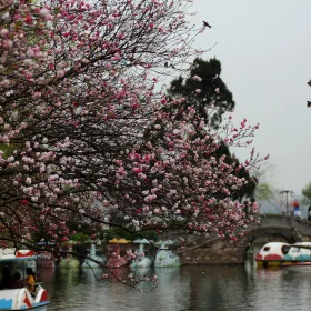 Lihu Central Park