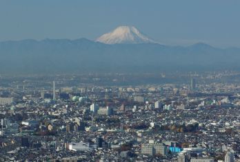 東京都廳觀景台 熱門景點照片