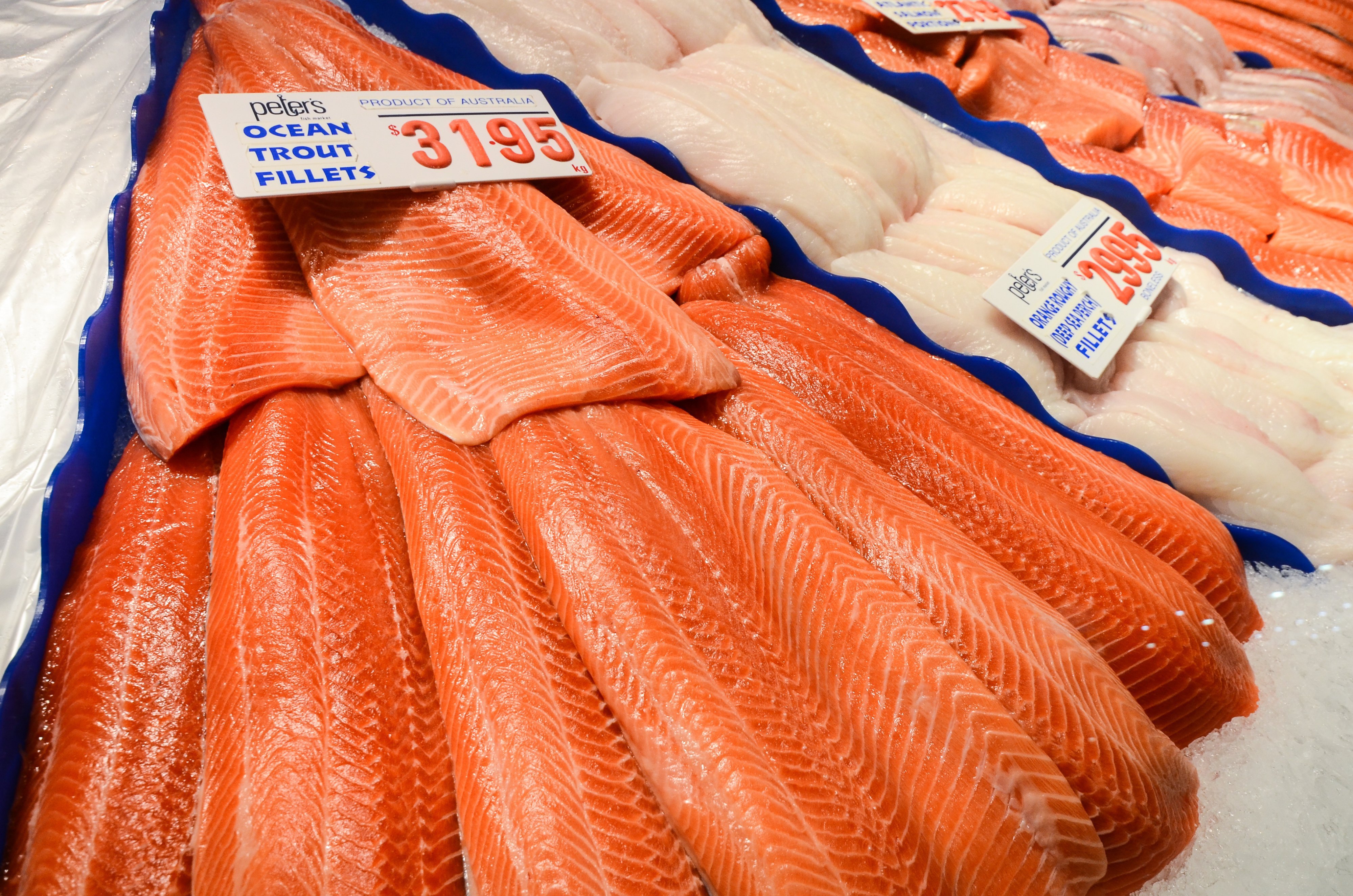 シドニー シドニー フィッシュマーケット 評判 案内 トリップドットコム