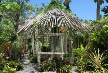 普吉島植物園 熱門景點照片