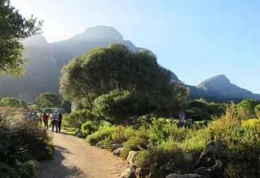 Kirstenbosch National Botanical Garden รูปภาพAttractionsยอดนิยม