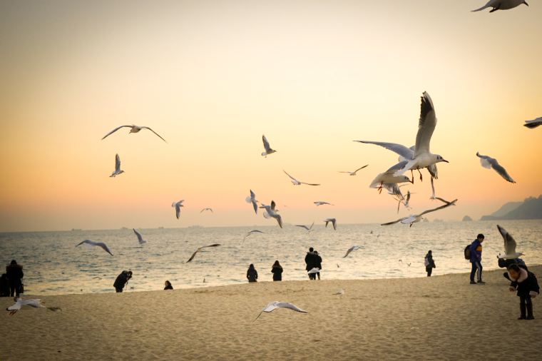 เที่ยวเกาหลี