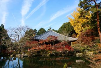 Daigoji Temple Popular Attractions Photos