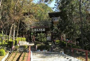 Dongshi Forest Garden 명소 인기 사진