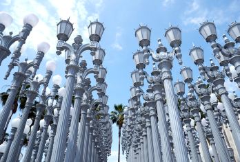 Los Angeles County Museum of Art Popular Attractions Photos