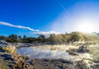 Whakarewarewa