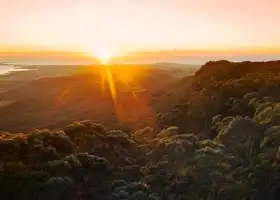 Illawarra Fly Treetop Walk