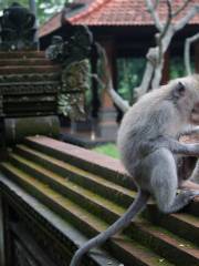 聖猴森林公園