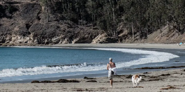 絶対に行くべきサン シメオンの観光スポット トリップドットコム