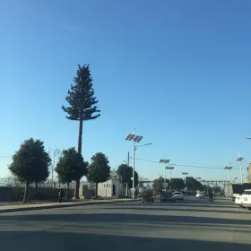 Binjiang Avenue