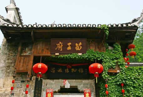 Miao Palace (Shanjiang Miao Museum)