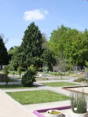 Heidelberg Botanical Garden
