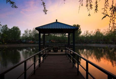 Yellow River Yiyuan Garden
