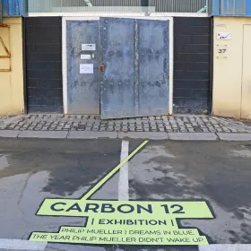 Carbon 12
