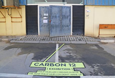 Carbon 12