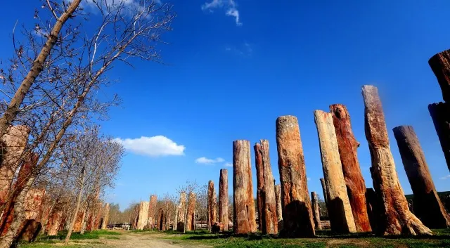 Xinjiang Ancient Ecological Park Ferghana Horse Base
