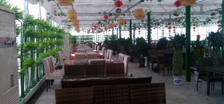 陽光島生態餐廳