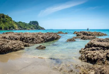 เกาะไวเฮเกะ รูปภาพAttractionsยอดนิยม
