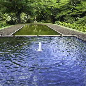 National Tropical Botanical Garden