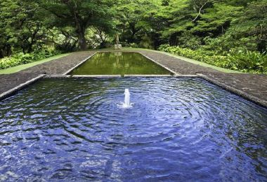 National Tropical Botanical Garden Popular Attractions Photos