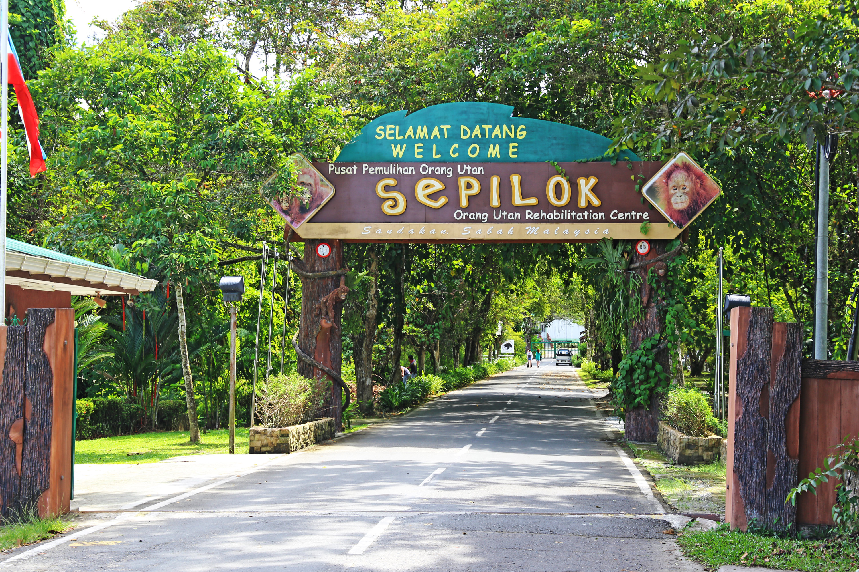 Latest travel itineraries for Sepilok Orangutan Rehabilitation Centre in  September (updated in 2023), Sepilok Orangutan Rehabilitation Centre  reviews, Sepilok Orangutan Rehabilitation Centre address and opening hours,  popular attractions, hotels, and ...