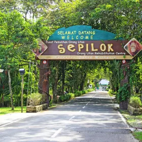 Sepilok Orangutan Rehabilitation Centre