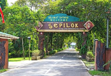 Sepilok Orangutan Rehabilitation Centre Popular Attractions Photos