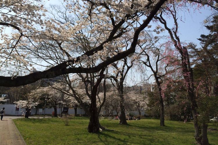 宮城県 東北大学植物園 評判 案内 トリップドットコム