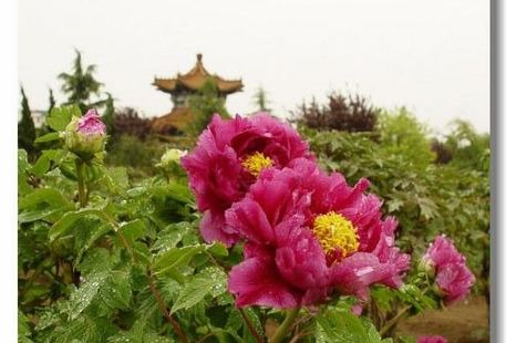Tianxiang Garden