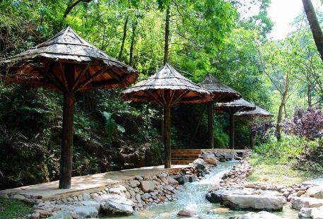 Shenlong Health Preservation Resort