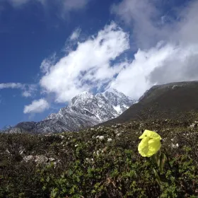 Yajiageng Mountain