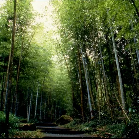 Xitou Nature Eduction Area