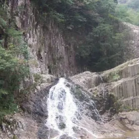 diao tan ji
