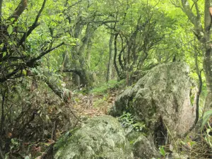玉女溪國家森林公園