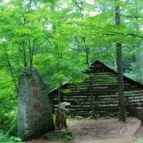 Weihu Mountain Forest Park